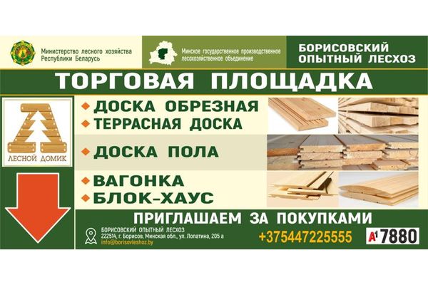 Борисовский опытный лесхоз открыл торговую площадку под брендом Борисовский опытный лесхоз открыл торговую площадку под брендом
